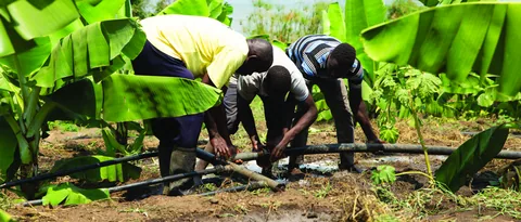 Save the Planet field photograph, Njombe, Tanzania
