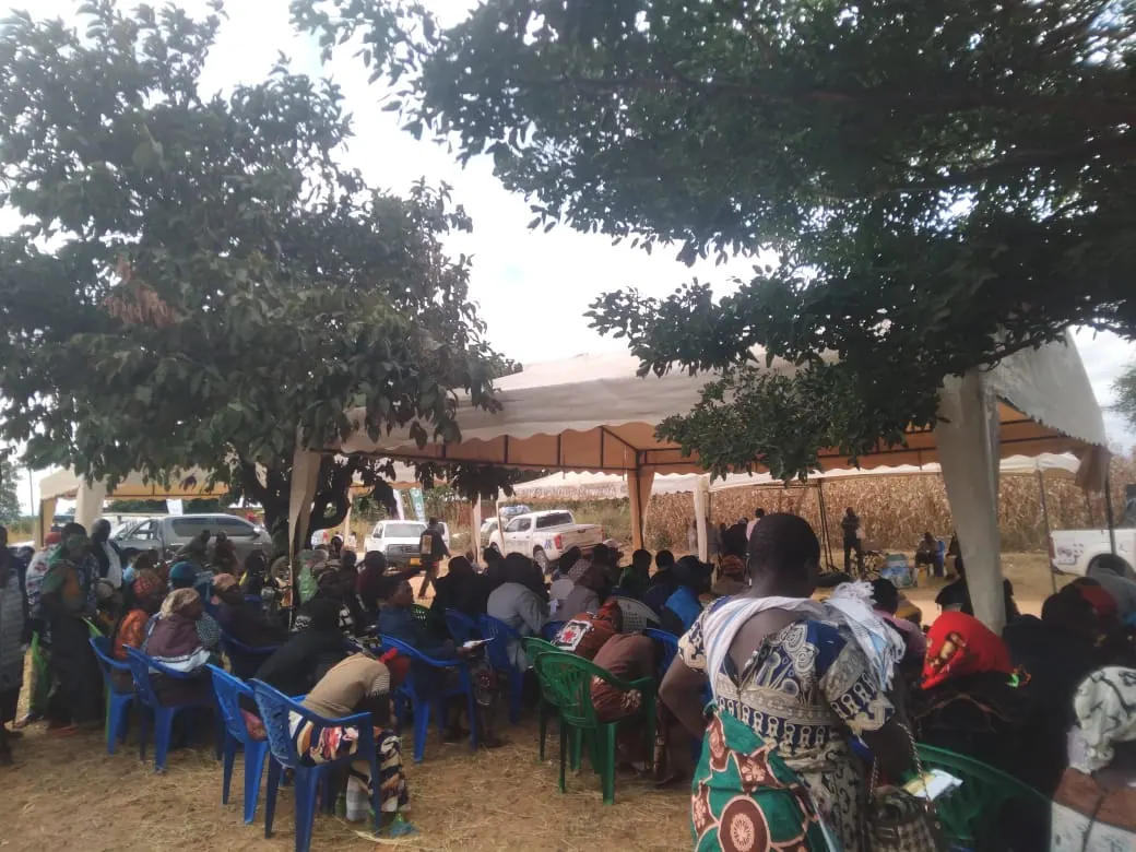 Community meeting under a tree in Wanging'ombe District