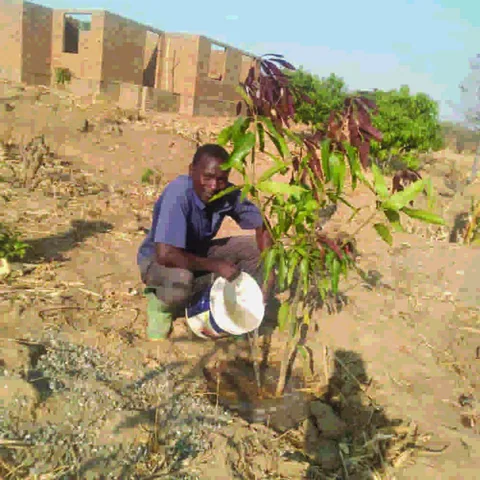 Save the Planet field photograph, Njombe, Tanzania