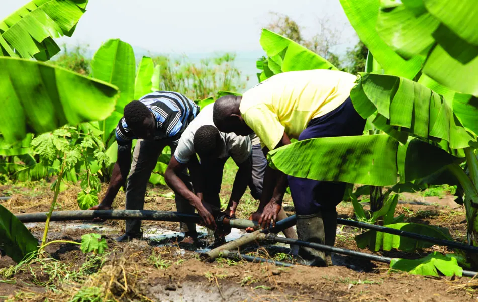 Volunteers planting a tree seedling during a Save the Planet field day