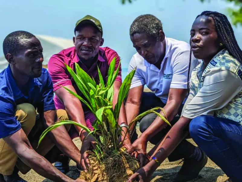 Community group planting trees together in Luduga Ward