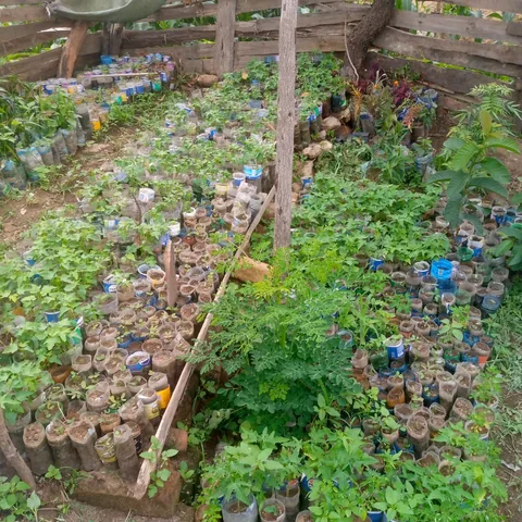 Save the Planet field photograph, Njombe, Tanzania
