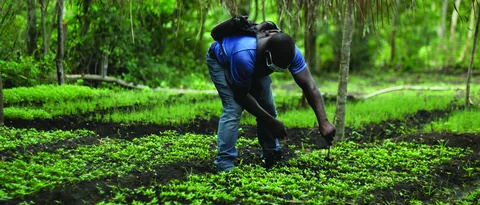 Save the Planet field photograph, Njombe, Tanzania