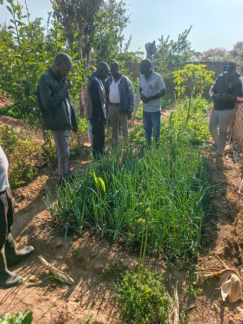 Save the Planet field photograph, Njombe, Tanzania