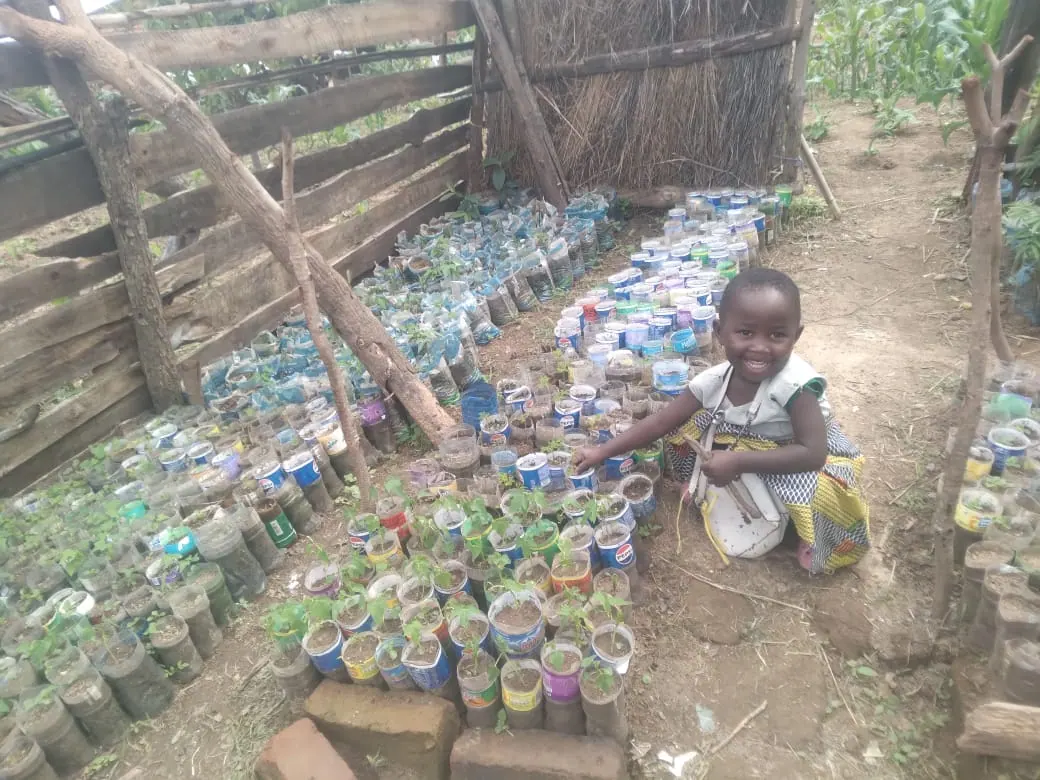 Seedlings growing in reused plastic containers collected in the village