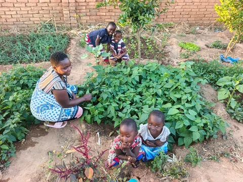 Save the Planet field photograph, Njombe, Tanzania