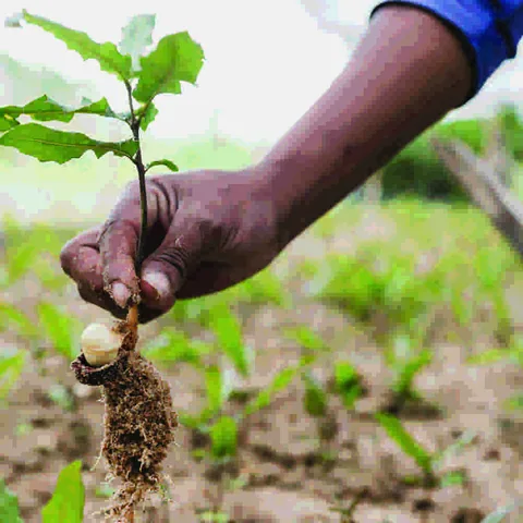 Save the Planet field photograph, Njombe, Tanzania