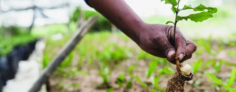 Save the Planet field photograph, Njombe, Tanzania