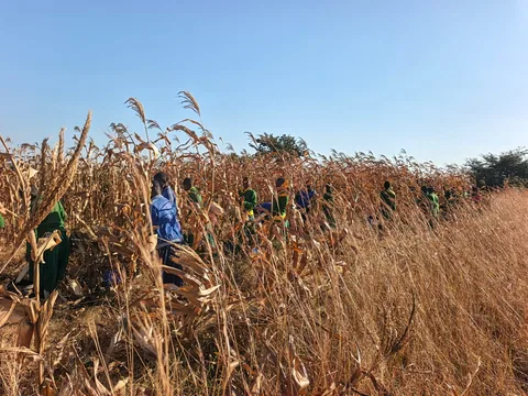 Save the Planet field photograph, Njombe, Tanzania