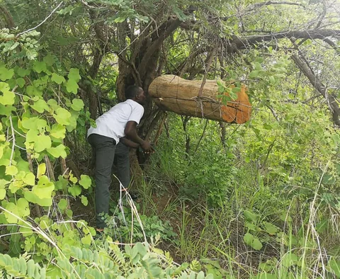 Save the Planet field photograph, Njombe, Tanzania
