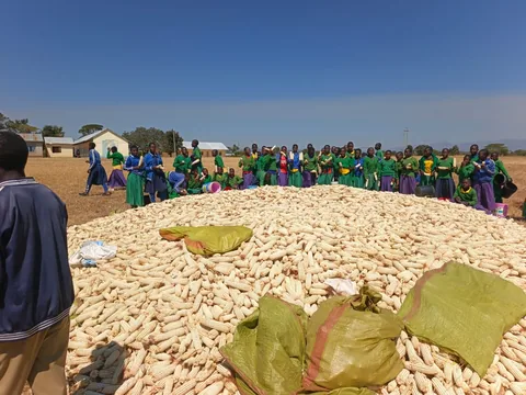 Save the Planet field photograph, Njombe, Tanzania