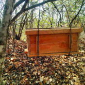 Environmental Education