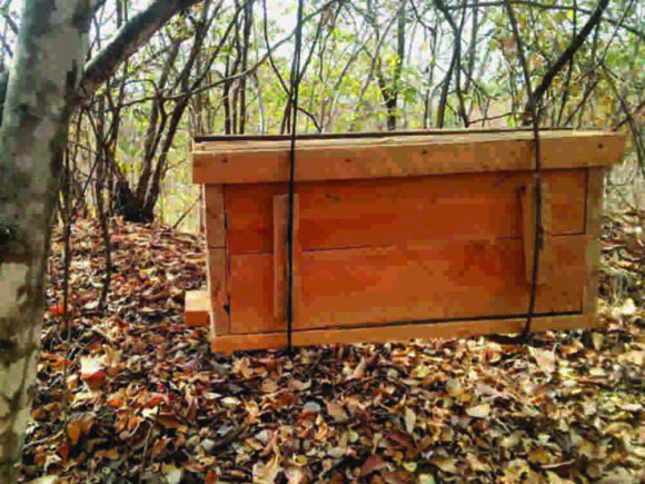 From Waste to Wealth: A Zero-Waste Journey