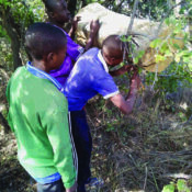 Environmental Education