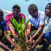 Tree Planting Projects