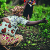 Tree Planting Projects