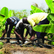 Clean Water Access