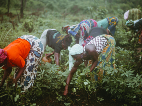 Empowering Women in Climate Action